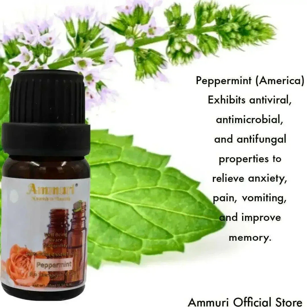 Essential Oils Gift Set for Aromatherapy & Relaxation | Ammuri